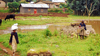 Rwanda country side