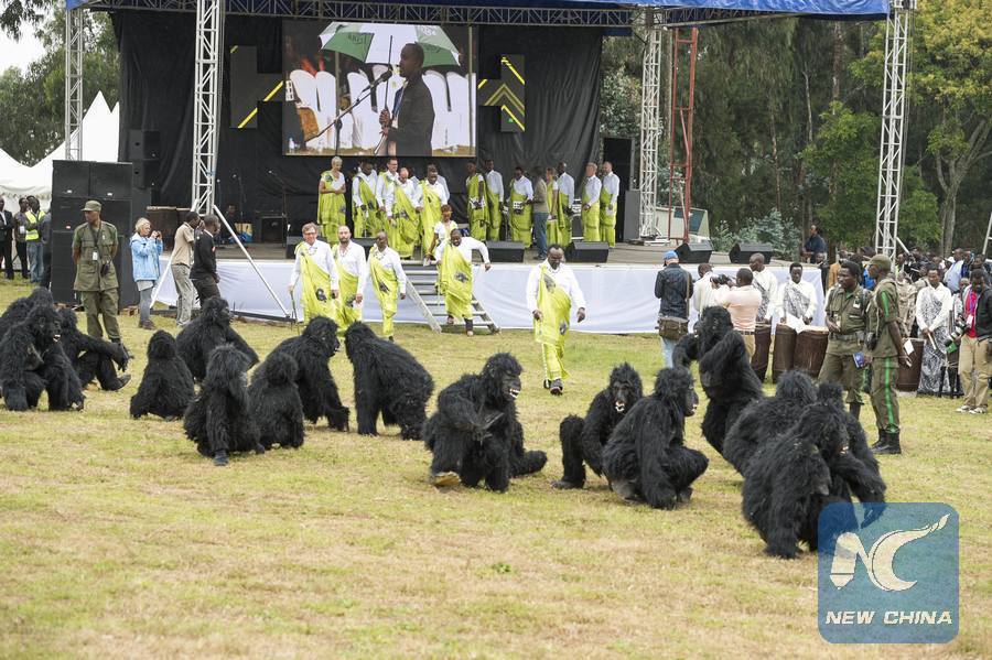 Kwita Izina Ceremony in Rwanda