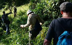 Rwanda Gorilla Safari