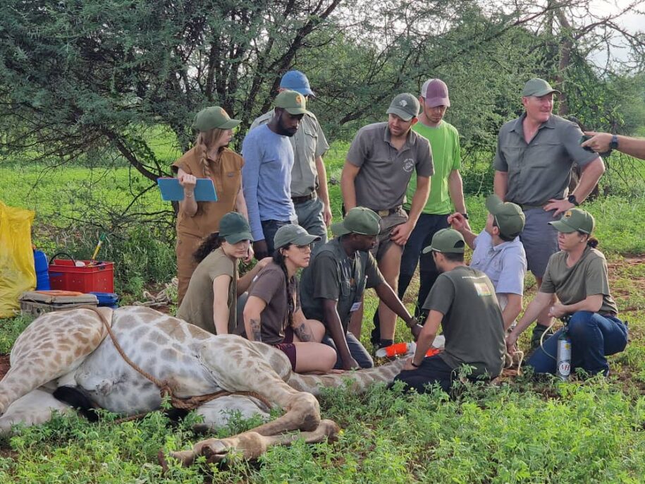 Volunteering in Rwanda