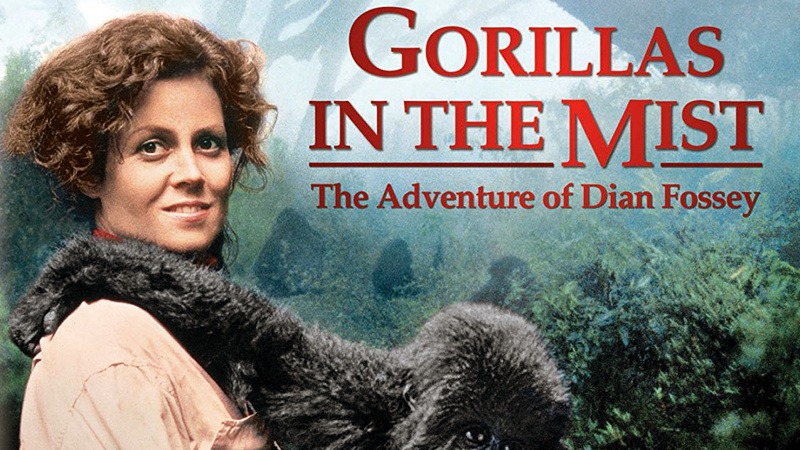 documentaries about mountain gorillas