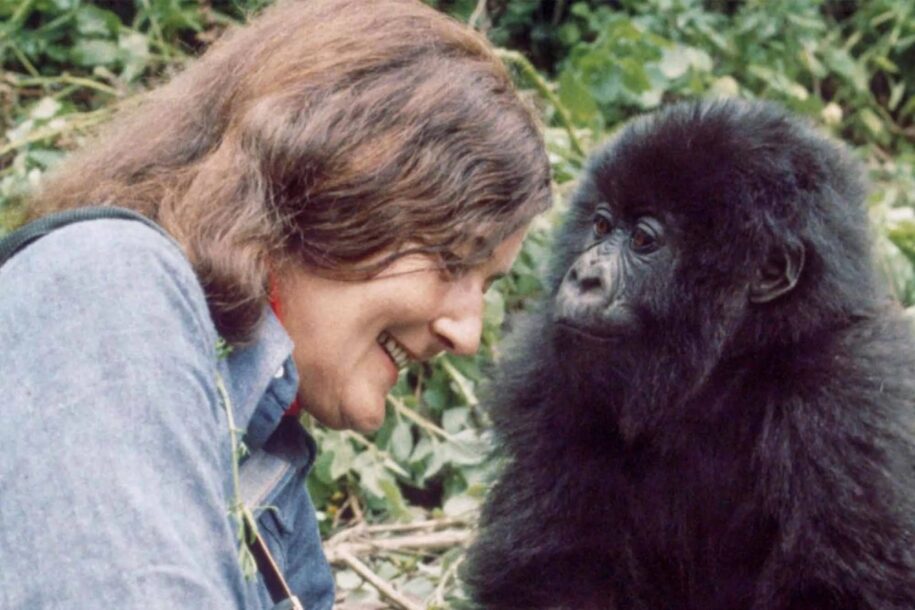 Dian fossey